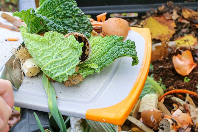 Ilustrasi membuat kompos dari limbah rumah tangga.