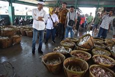 Dedi Mulyadi: Tempat Pelelangan Ikan Bisa Diperbaiki seperti Obyek Wisata