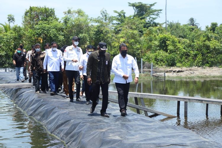 Menteri Kelautan dan Perikanan Sakti Wahyu Trenggono saat meninjau langsung klaster udang vaname berkelanjutan di Desa Matang, Kabupaten Aceh Timur, Provinsi Aceh, Selasa (7/9/2021).