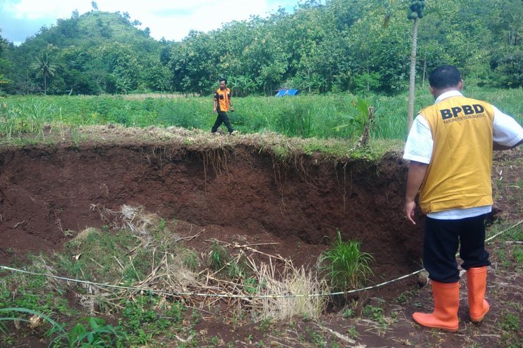 Petugas BPBD Gunung Kidul melakukan pemeriksaan lubang di lahan milik Suyatmi di Dusun Pringwulang, Desa Bedoyo, Kecamatan Ponjong.