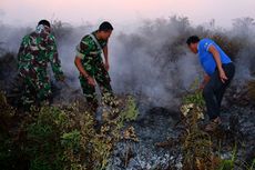 Diduga Sengaja Dibakar, Lahan Gambut di Aceh Barat Kembali Membara