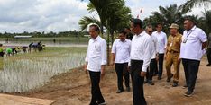 Bersama Mentan Amran, Presiden Jokowi Lakukan Peninjauan Program Pompanisasi di Kotawaringin Timur