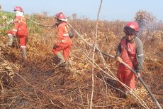 Kebakaran Hutan dan Lahan di Rokan Hilir Riau, Polisi Selidiki Pelaku