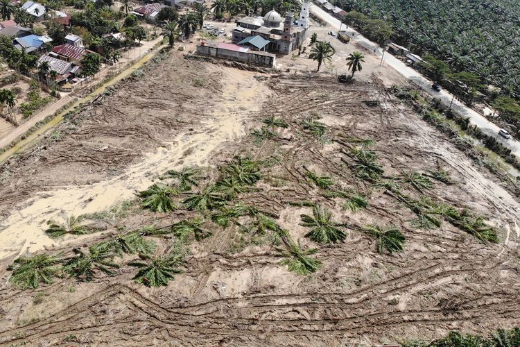 Foto udara, lahan yang telah dibersihkan untuk pembangunan hunian sementara bagi korban bencana banjir bandang di Karang Baru, Aceh Tamiang, Aceh, Sabtu (20/12/2025). Pemerintah mempersiapkan lahan milik Pemkab Aceh Tamiang dan lahan perkebunan perusahaan untuk dibangun tempat hunian sementara korban bencana banjir bandang. 