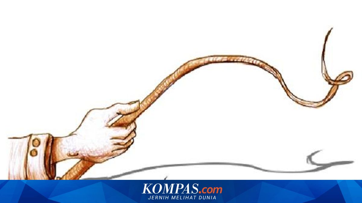Ombudsman: Penyiksaan dan Hukuman yang Merendahkan Manusia Tidak Dapat Ditoleransi