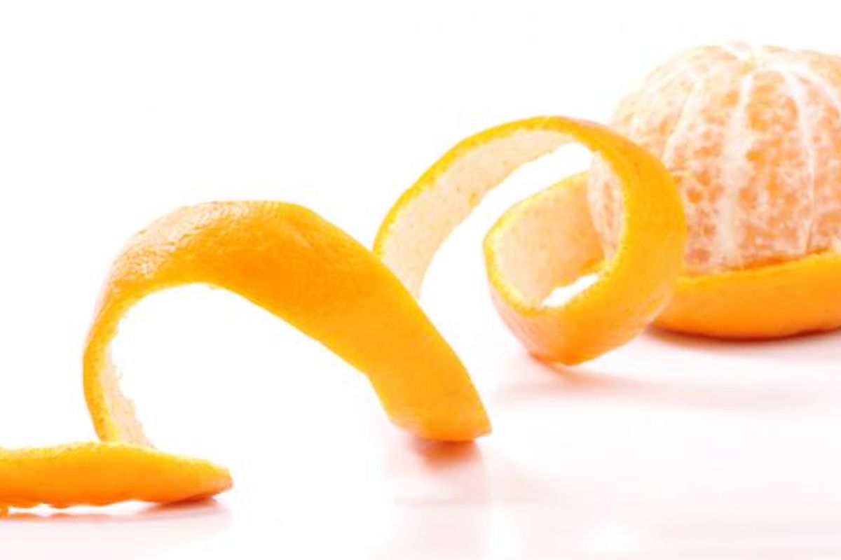 Ilustrasi kulit jeruk 