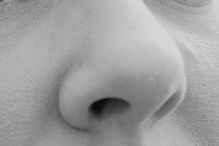 Hidung manusia