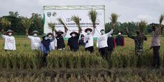 Jaga Pasokan Pertanian, Dompet Dhuafa Berdayakan Petani Lewat Program Ketahanan Pangan DD Farm