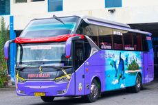 Daftar Bus Malang-Bali: Harga Tiket dan Jadwal