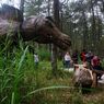 5 Tempat Wisata Dinosaurus, Cocok untuk Liburan Keluarga