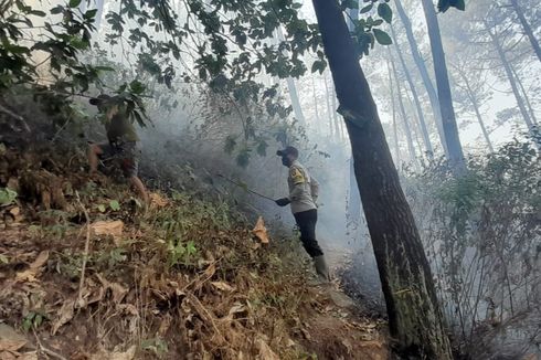 Satwa di Gunung Arjuno-Welirang Terganggu Imbas Kebakaran Hutan