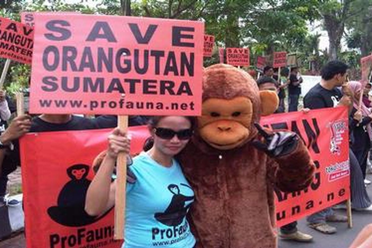 Profauna melakukan kampanye selamatkan orang utan. Salah satunya akan dilakoni dengan touring Sumatera mulai 20 April-akhir Mei 2013 mendatang.  
