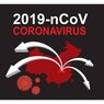 Mesir Konfirmasi Kasus Pertama Virus Corona Covid-19