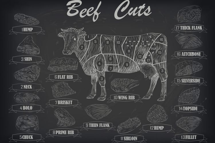 Ilustrasi bagian daging sapi