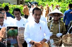 Jokowi Tugaskan Mentan Tingkatkan Produksi Kopi Empat Kali Lipat