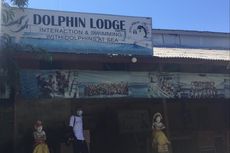 PTUN Denpasar Perintahkan BKSDA Bali Kembalikan 5 Ekor Lumba-lumba yang Ditunggangi Lucinta Luna