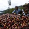 Gayo Coffee Trail akan Kembangkan Wisata Dataran Tinggi Gayo