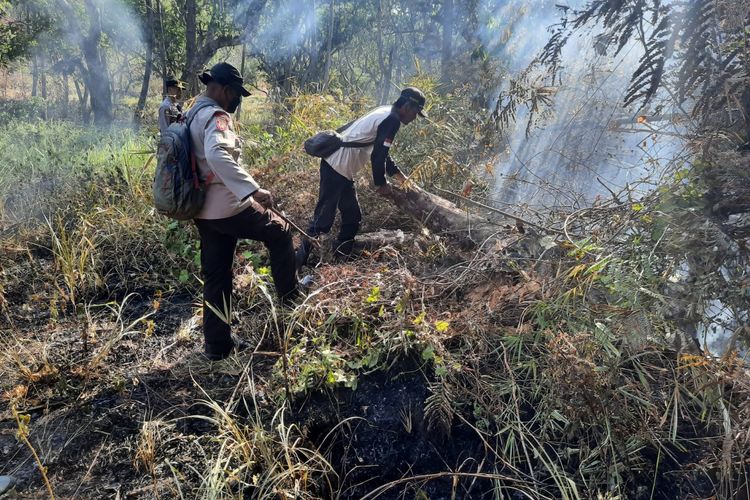 Petugas berupaya memadamkan api di lahan kawasan lereng Gunung Klotok, Kediri, Jawa Timur, Rabu (6/9/2023).