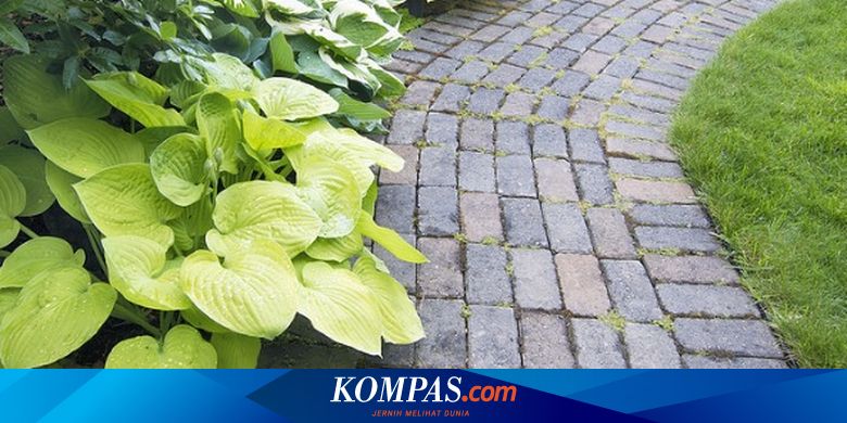 Cara Jitu Hilangan Rumput dan Gulma di Paving Block - Vimarsana News