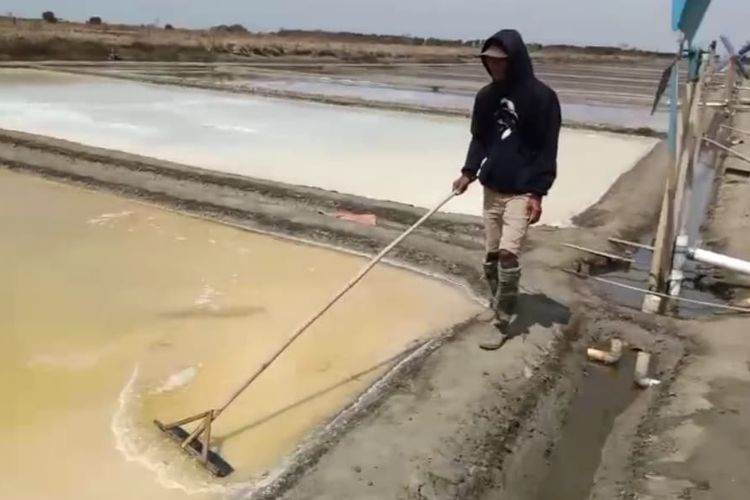 Harga Garam Merosot Jadi Rp 40.000 Per Karung, Petani Keluhkan Penurunan Anjlok Tiap Hari