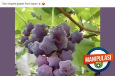 Manipulasi Foto Anggur Berbentuk Bintang yang Diklaim dari Jepang