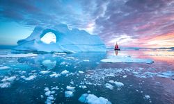 6 Dampak Mengerikan Mencairnya Es Kutub Akibat Pemanasan Global