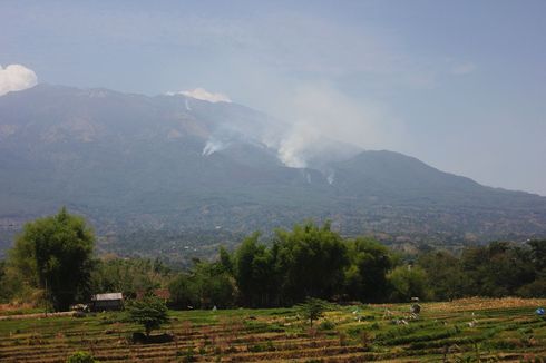 Ada Blankspot, Kebakaran Hutan di Gunung Lawu Masih Berlangsung