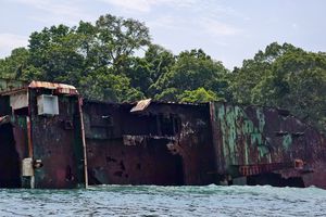 Kronologi Wisatawan yang Tewas Usai Loncat dari Kapal Viking dan Terselip di Baling-baling