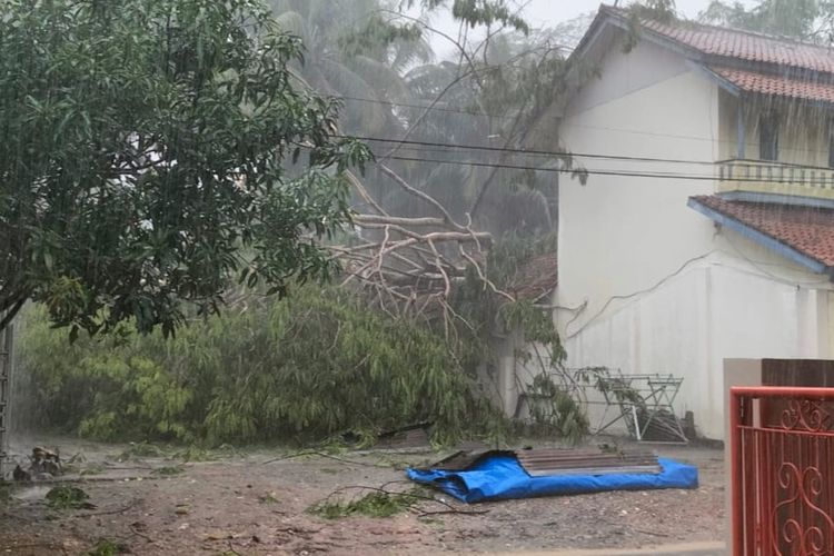 Sebuah rumah di Dusun Karangmulya, Desa Langkapsari, Kecamatan Banjaranyar, Ciamis tertimpa pohon tumbang, Jumat (7/2/2025) sore. Pohon tumbang disebabkan hujan dan angin kencang.