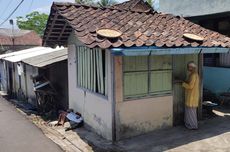 Viral, Video Belasan Kucing Ditimbun di Warung Magelang, Kurus dan Terserang Bakteri, Apa yang Terjadi?