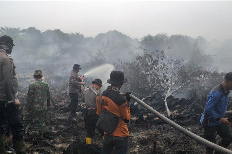 Tim Satgas Karhutla Rohil melakukan pemadaman titik api di lahan yang terbakar, yang berdekatan dengan kebun sawit PT Jatim Jaya Perkasa di Desa
Teluk Bano, Kecamatan Pekaitan, Rohil, Riau, Rabu (3/7/2019).