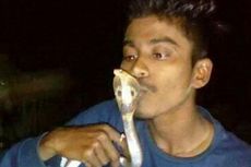 Pemuda India Tewas Saat Hendak Mencium Seekor Ular Kobra