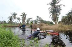Susahnya PLN Pasang Jaringan Listrik di Dusun Terpencil Riau, Sampai Berhadapan dengan Buaya
