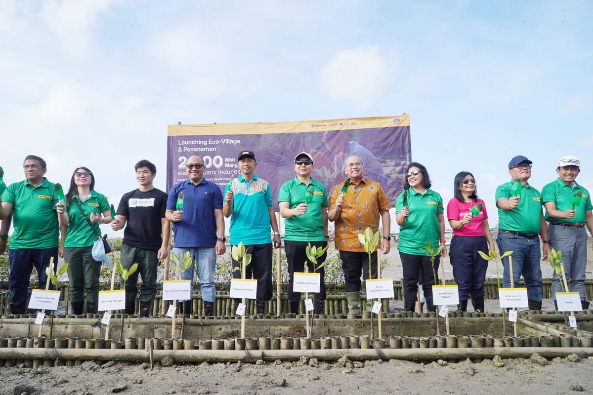 Penanaman mangrove oleh Maybank Indonesia di sela-sela kegiatan Maybank Marathon 2024.