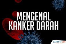 INFOGRAFIK: Mengenal 3 Jenis Kanker Darah...