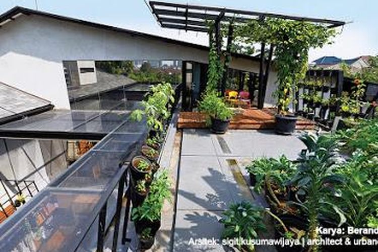 Penampakan rumah hijau karya arsitek Sigit Kusuma Wijaya.