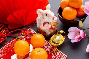 6 Shio yang Diprediksi Beruntung Secara Finansial di 17 Januari 2026