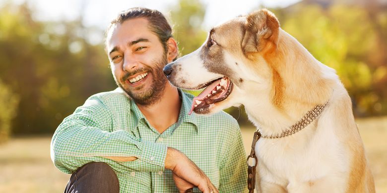 Ilmuwan Temukan Rumus Baru Untuk Hitung Usia Anjing Jadi Usia Manusia Halaman All Kompas Com