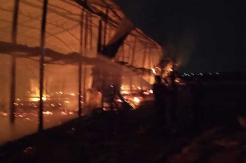 Kandang Peternakan di Grobogan Terbakar, 20.000 Ayam Mati