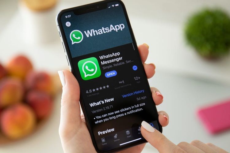 WhatsApp Mulai Gulirkan Akun Resmi di Tab Chat, Apa Fungsinya?