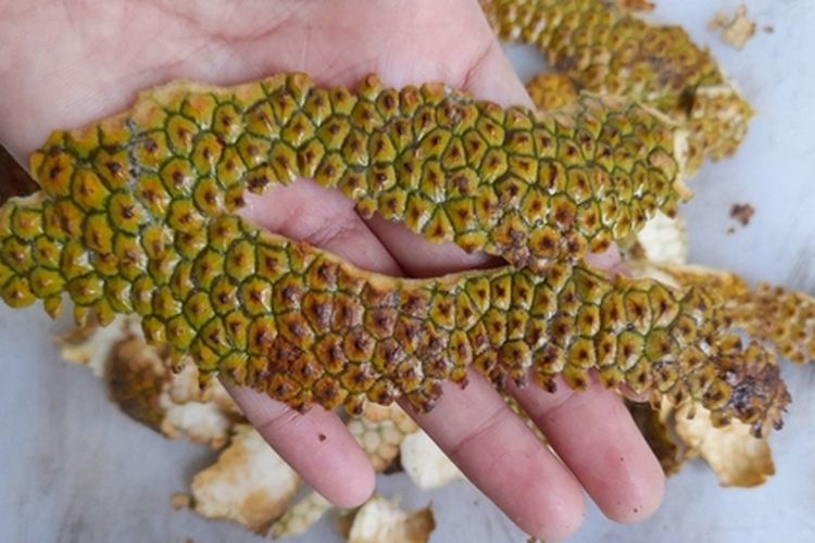 Kulit cempedak yang sudah dipisahkan dengan buahnya
