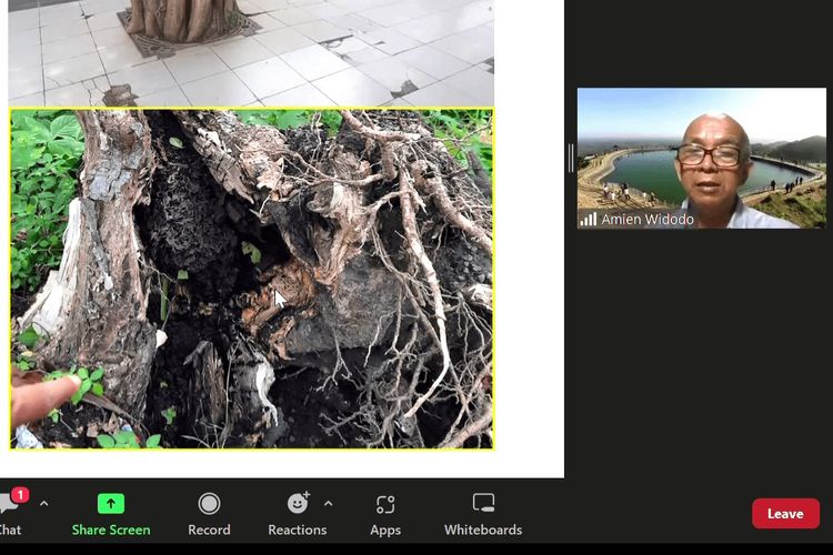 Dosen dan Peneliti Teknik Geofisika Institut Teknologi Sepuluh Nopember (ITS), Dr. Ir. Amien Widodo, MSi., saat memaparkan materi terkait pohon tumbang karena faktor usia dan sudah keropos.