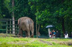 Prabowo Bertemu Dubes Pakistan di Istana, Apa yang Dibahas?