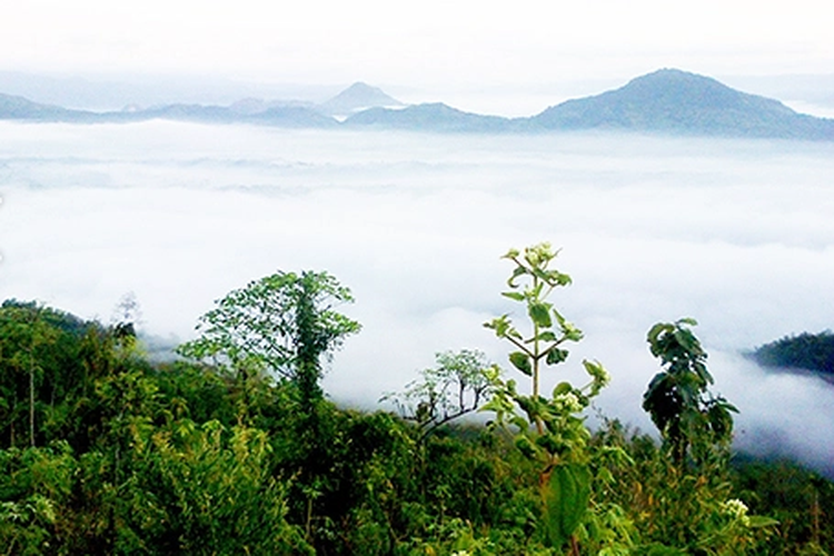 Bukit Banyon, tempat wisata untuk menikmati hamparan awan di Trenggalek, Jawa Timur 