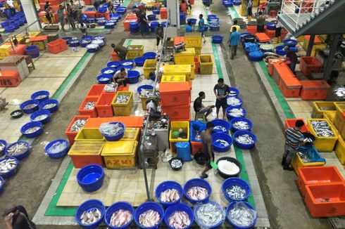 “Saya Penasaran, Katanya Pasar Ikan Muara Baru Mirip Tsukiji”