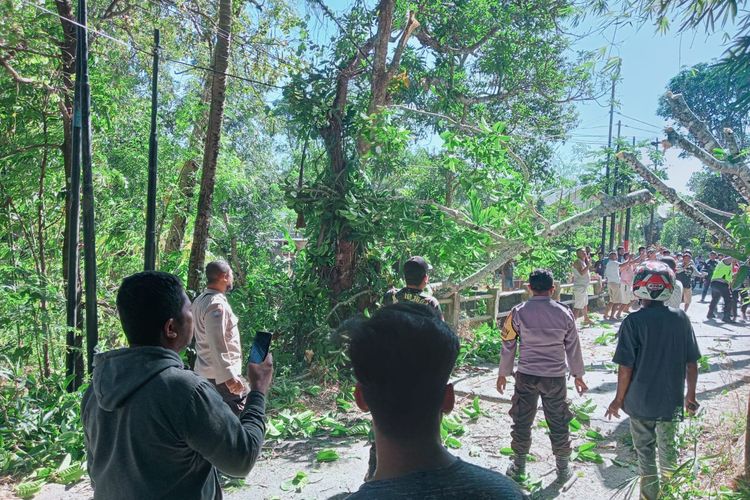 Polisi, TNI dan warga membersihkan dahan dan ranting pohon beringin yang tumbang di badan jalan raya Desa Tunfeu, Kecamatan Nekamese, Kabupaten Kupang, Nusa Tenggara Timur (NTT), Selasa (1/8/2023). 