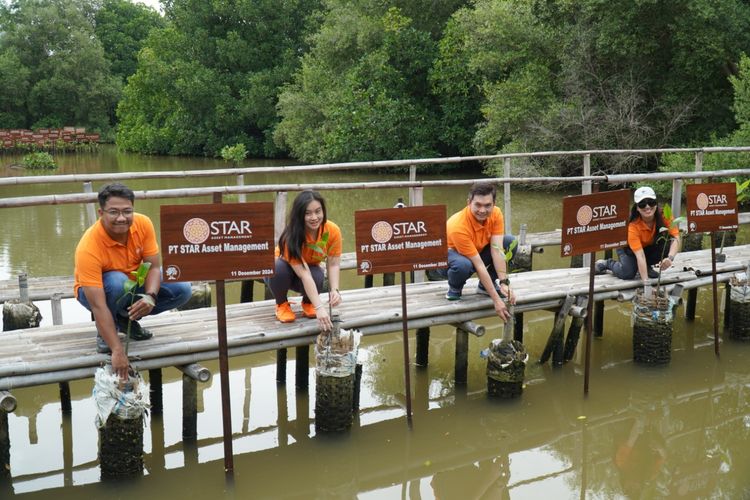 Memperingati Hari Menanam Pohon Indonesia, STAR Asset Management (STAR AM) mengadakan kegiatan pelestarian hutan bakau melalui program lingkungan Menanam Pohon untuk Masa Depan Hijau (11/12/2024).

