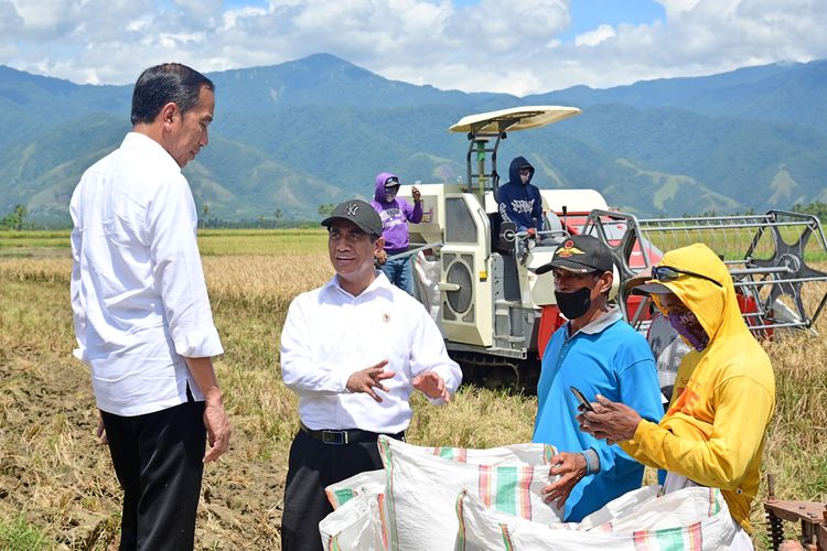 Presiden Joko Widodo dan Menteri Pertanian Andi Amran Sulaiman meninjau panen raya Tolitoli, Sulawesi Tengah (Sulteng), Rabu (27/3/2024).