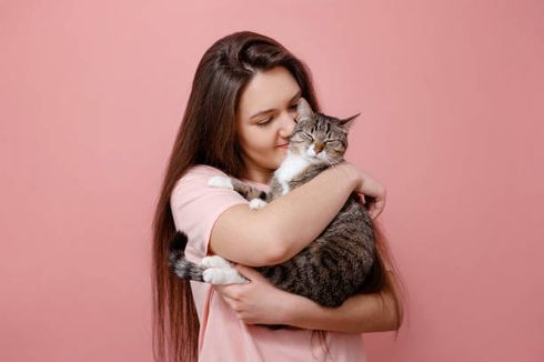 7 Tips Perawatan Harian untuk Kucing Peliharaan Anda