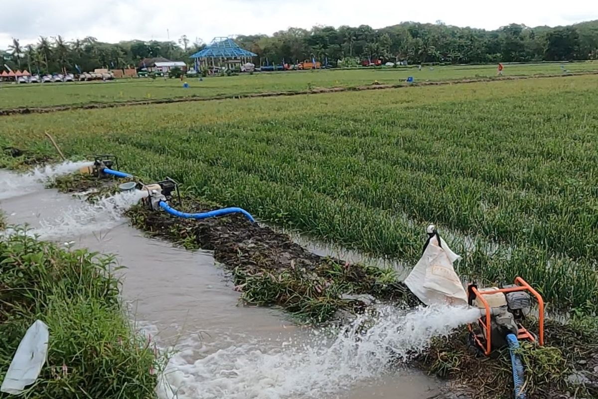 Antisipasi El Nino, Kementan Siapkan Sistem Pompa Di Gowa, Sulsel